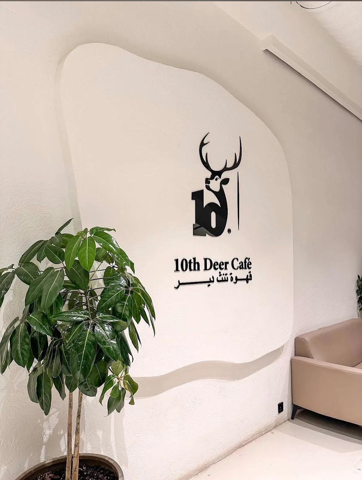 10th Deer Cafe | قهوة تنث دير